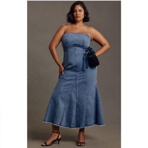 Anthropologie Pilcro Blue Denim Maxi Dress NWT